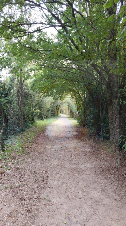 Labruguière-Occitanie-France-Lac-Nature-balade
