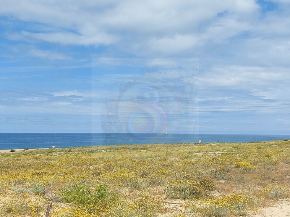 Biscarosse-Landes-Nouvelle-Aquitaine-France-Plage-vagues-océan-mer-nuages-Nature-zone-protégée